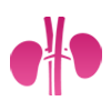 Urinary-Bladder-Cancer-sm