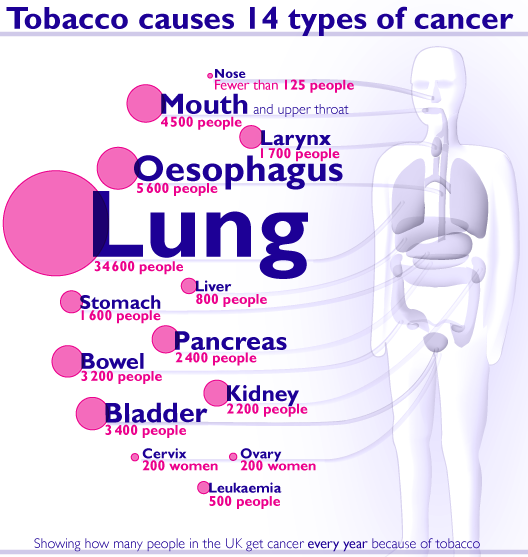 main causes of cancer