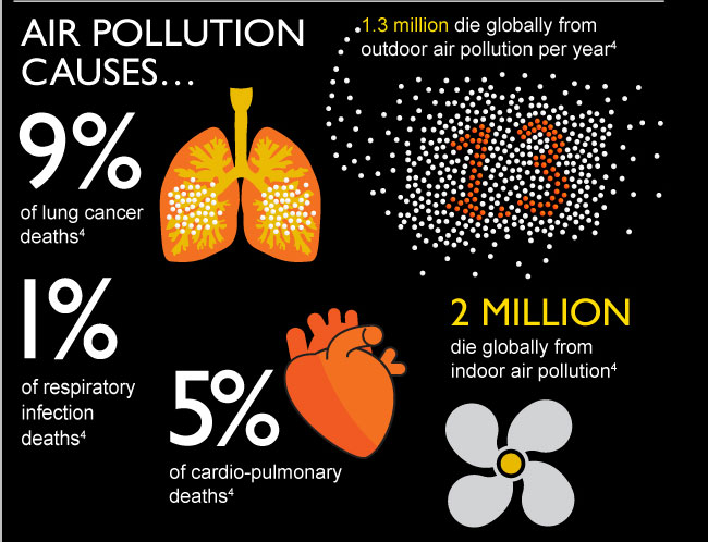 main causes of cancer 2