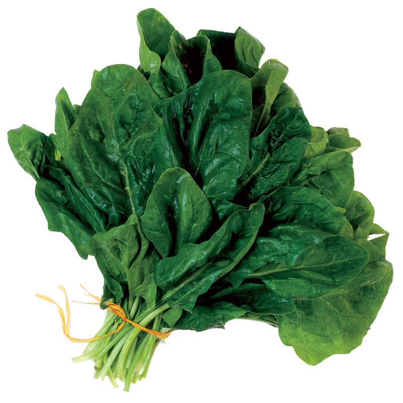 best diet for breast cancer prevention