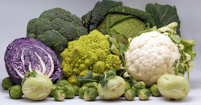 diet for breast cancer prevention
