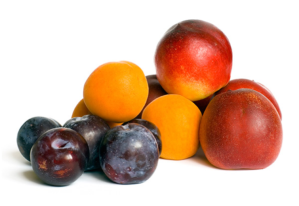 foods for the prevention of breast cancer