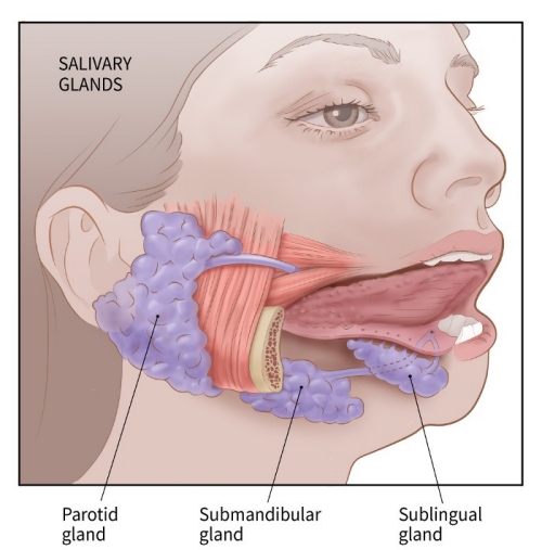 oral cancer type