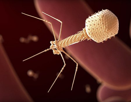 side effects of leukemia treatments