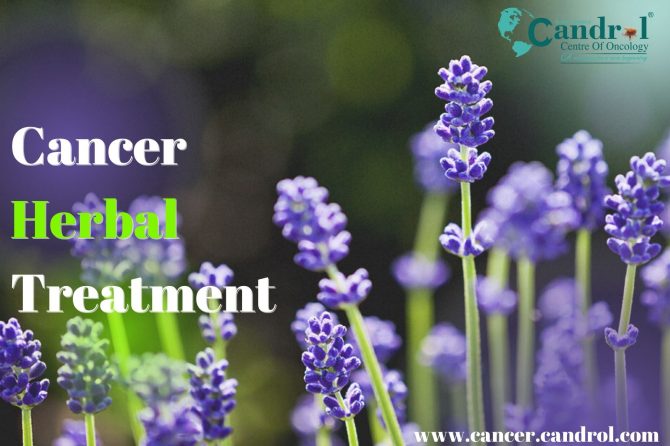 Best Oral Cancer Specialist In India